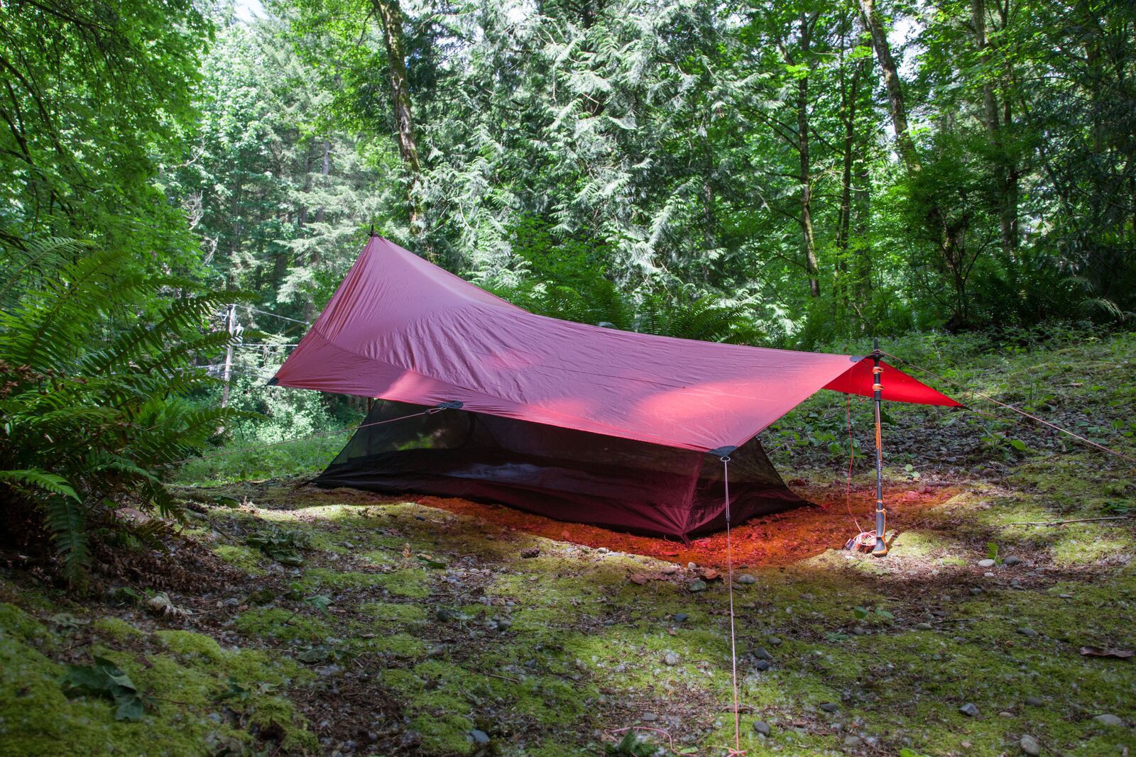 Hilleberg Mesh Tent 1