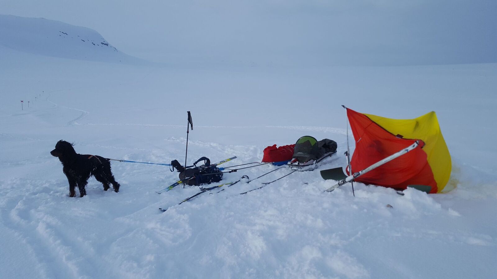 Hilleberg Windsack