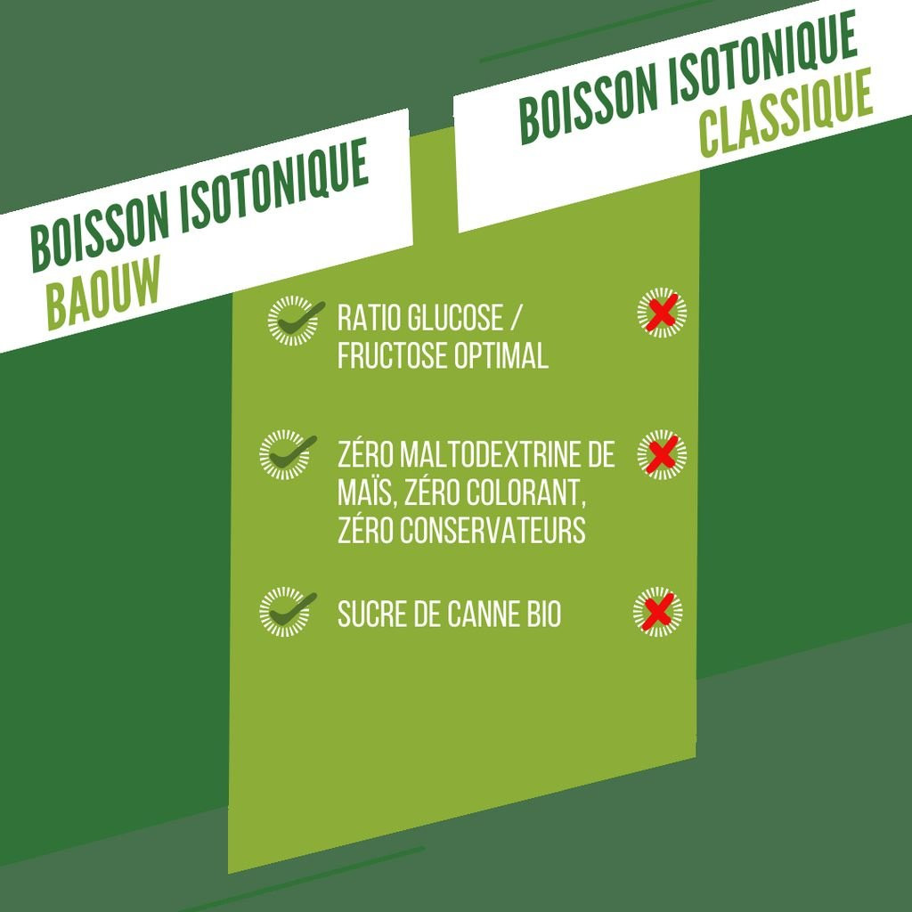 Baouw Energy Drink Citron-Fleur de sureau 45 g