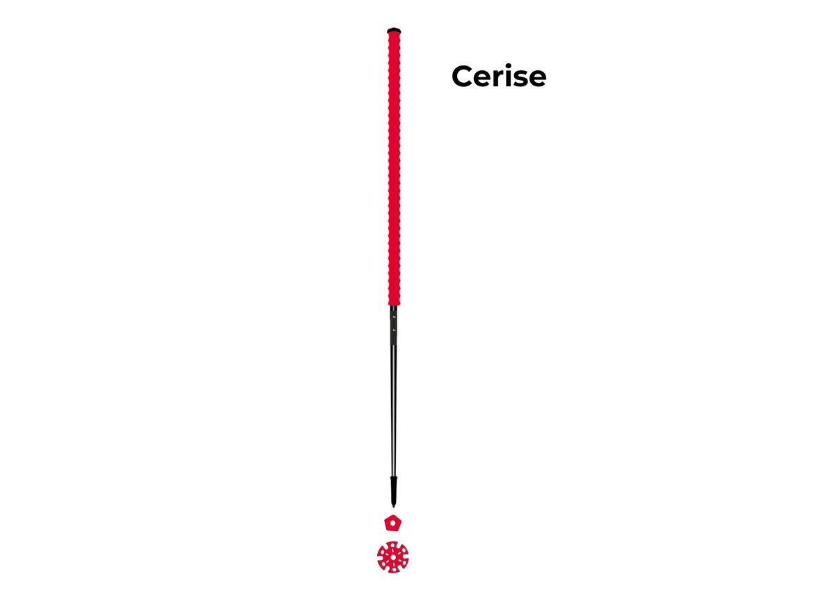 Les bâtons d’Alain Cerise