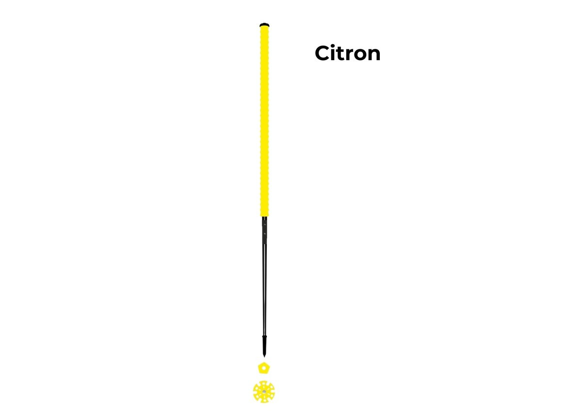 Les bâtons d’Alain Citron