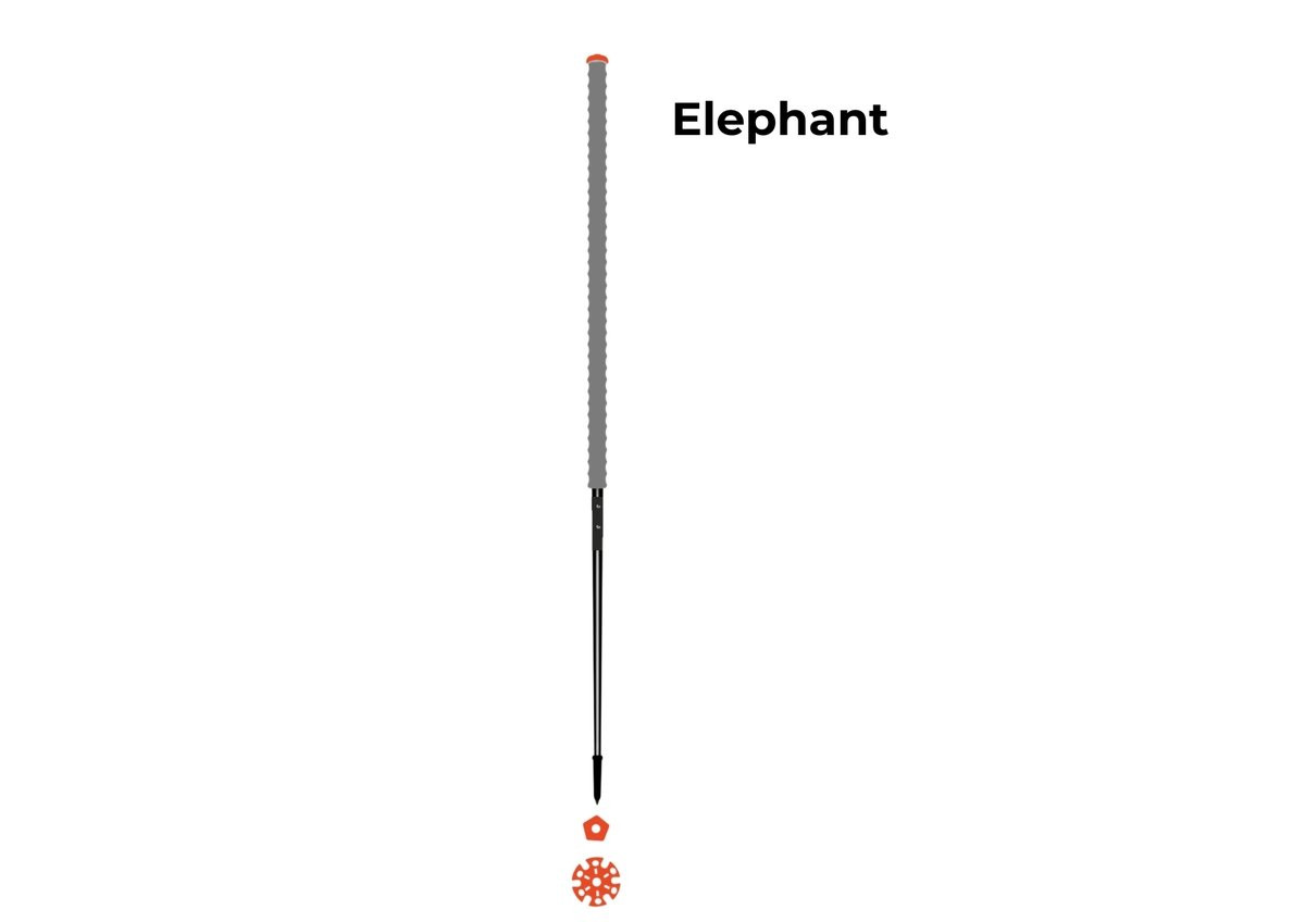 Les bâtons d’Alain Elephant