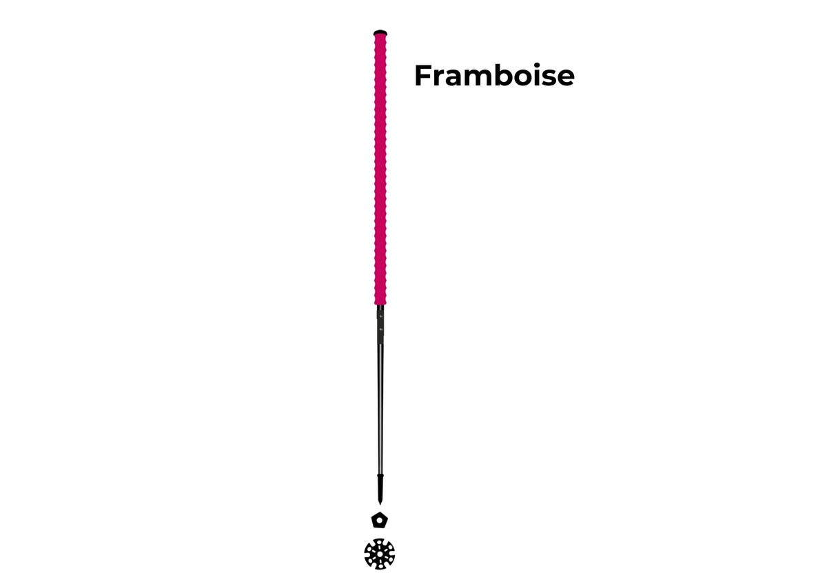 Les bâtons d’Alain Framboise