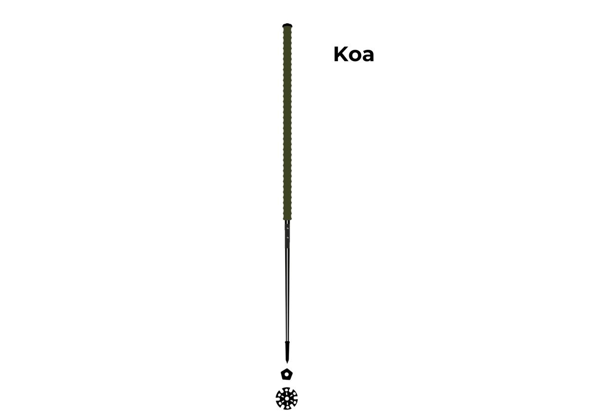 Les bâtons d’Alain Koa