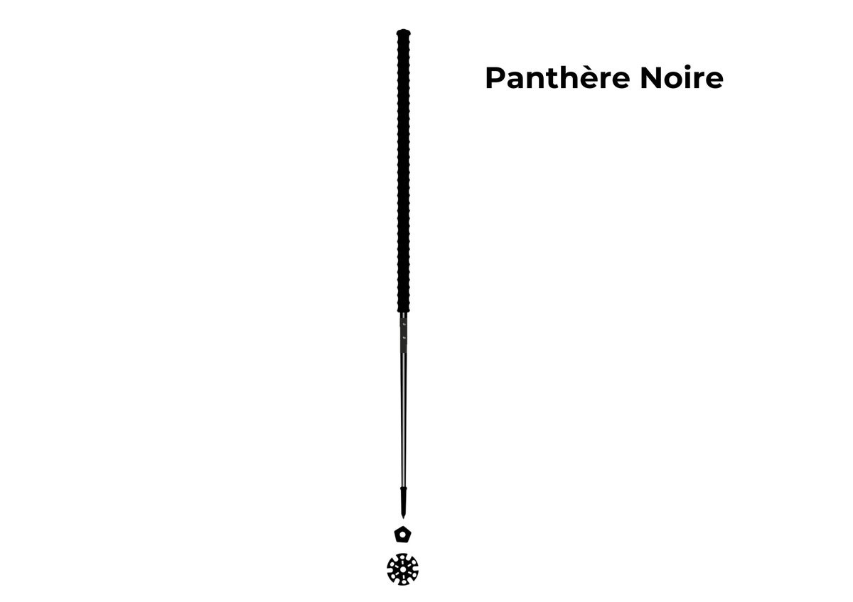 Les bâtons d’Alain Panthère Noire