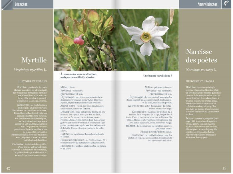 Livre Guide de la flore du Parc du Vercors - Glénat