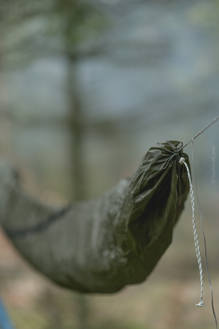 Lesovik Larva