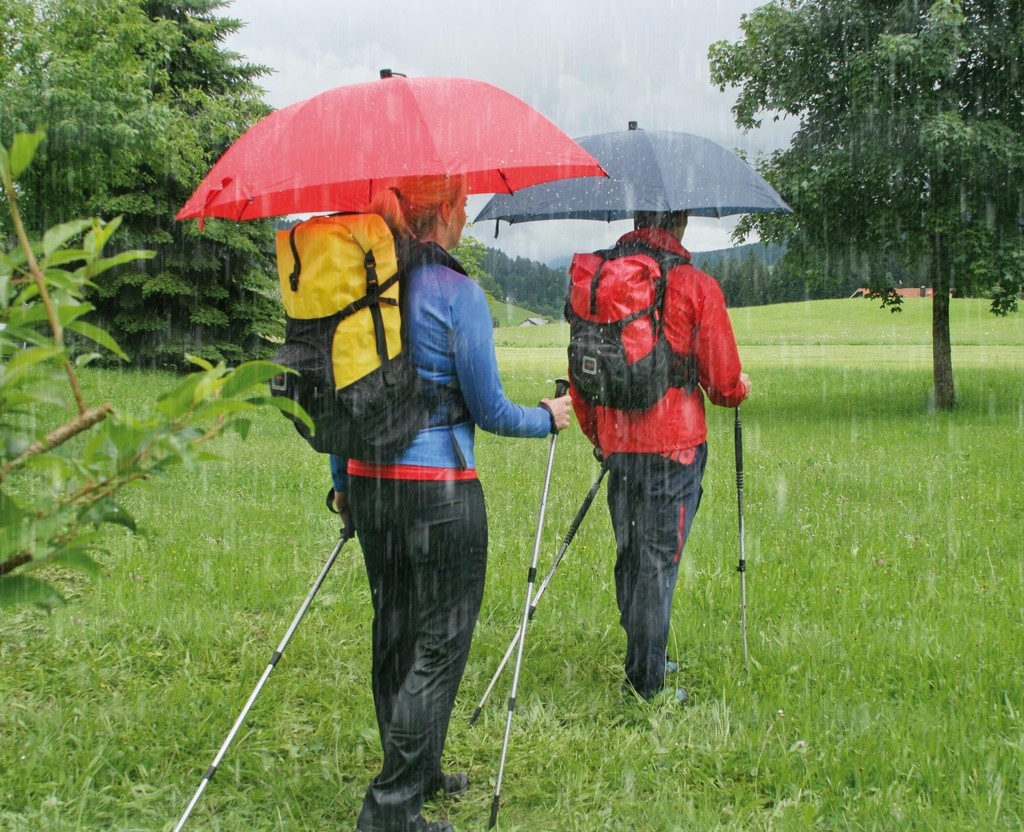 EuroSchirm Swing Handsfree