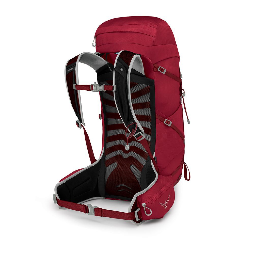 Sac osprey deals talon 33