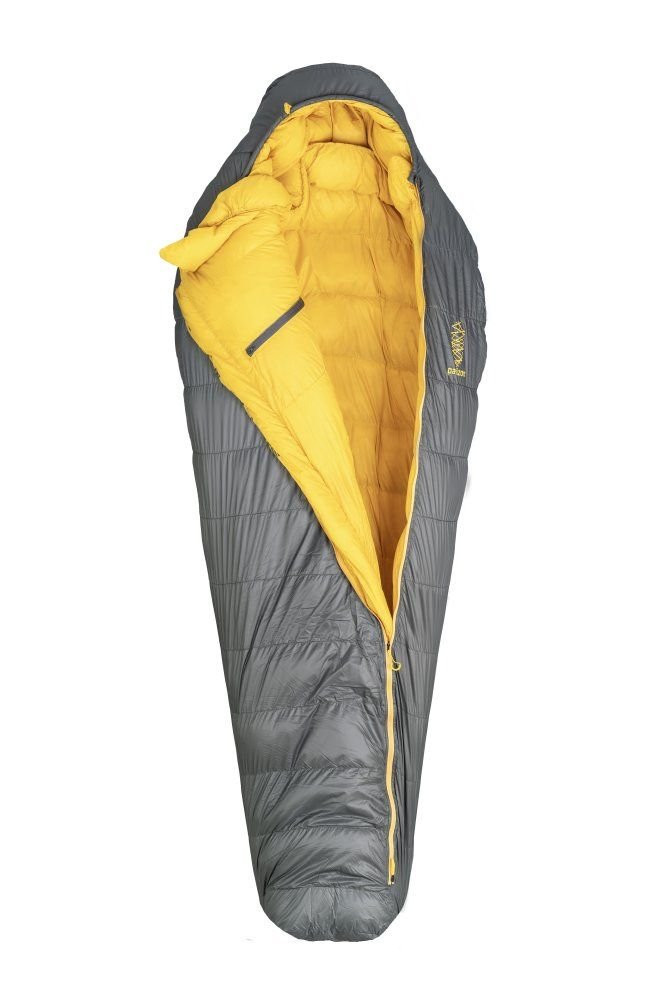 Patizon D590