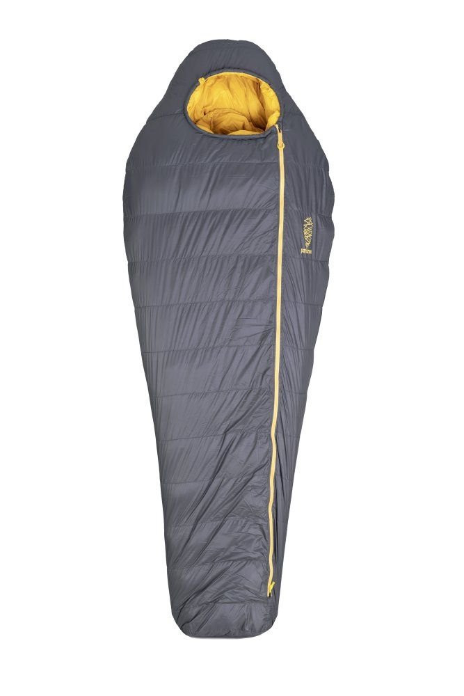 Patizon D590