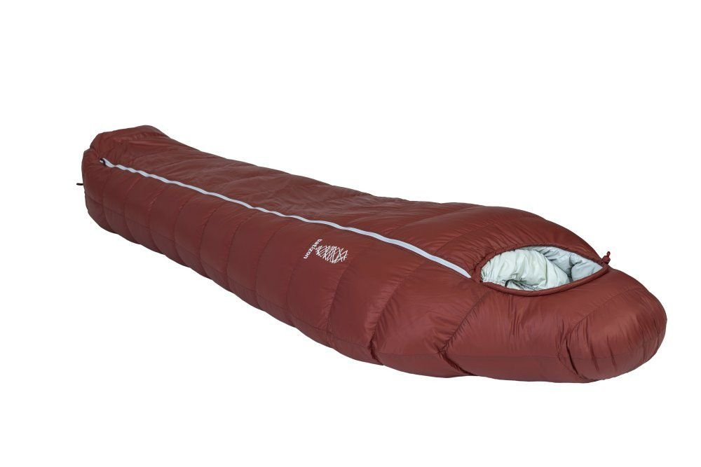 Patizon D590