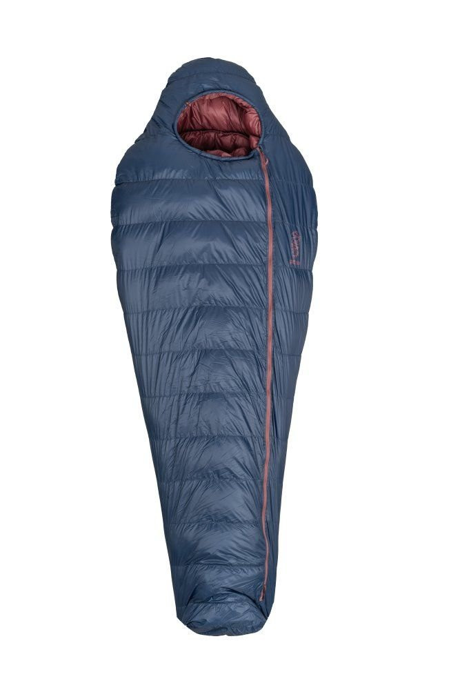 Patizon D590