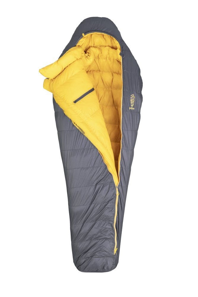 Patizon D890