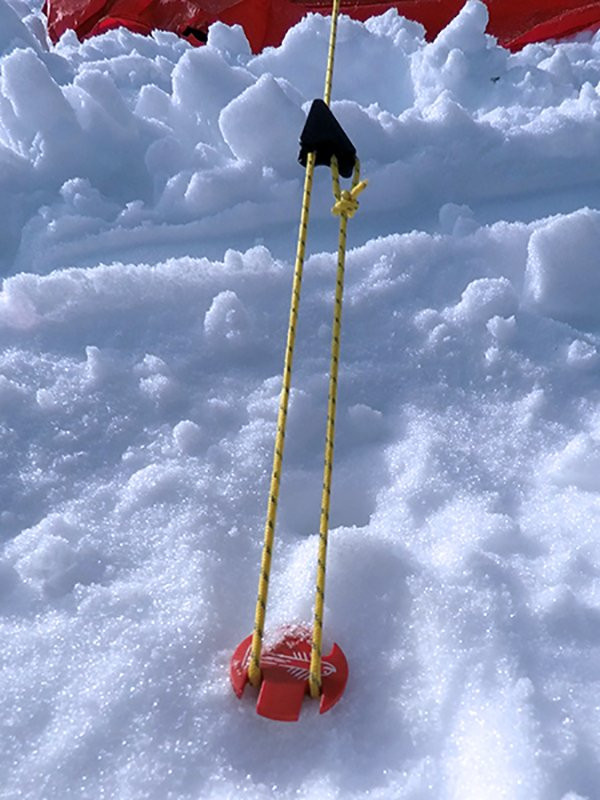 Sardine SwissPiranha RT220 Tent Pegs 