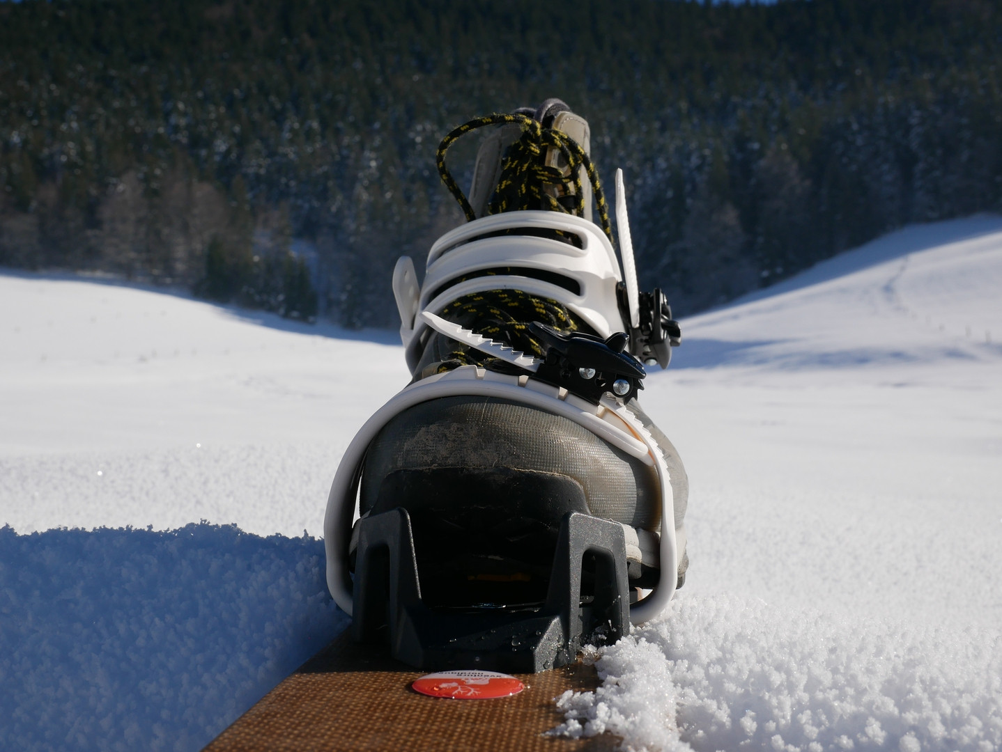 Skis Altai Hok + Fixations OAC EA 2.0