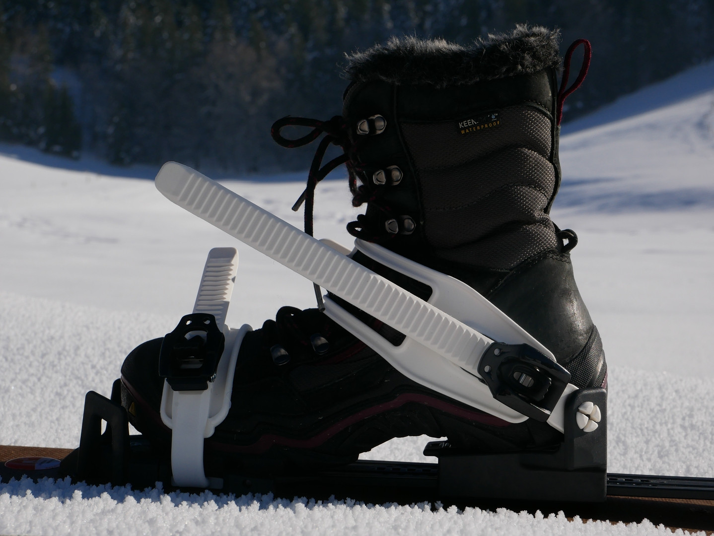 Touring Auto Classic - Fixations pour skis de fond | Sports Experts