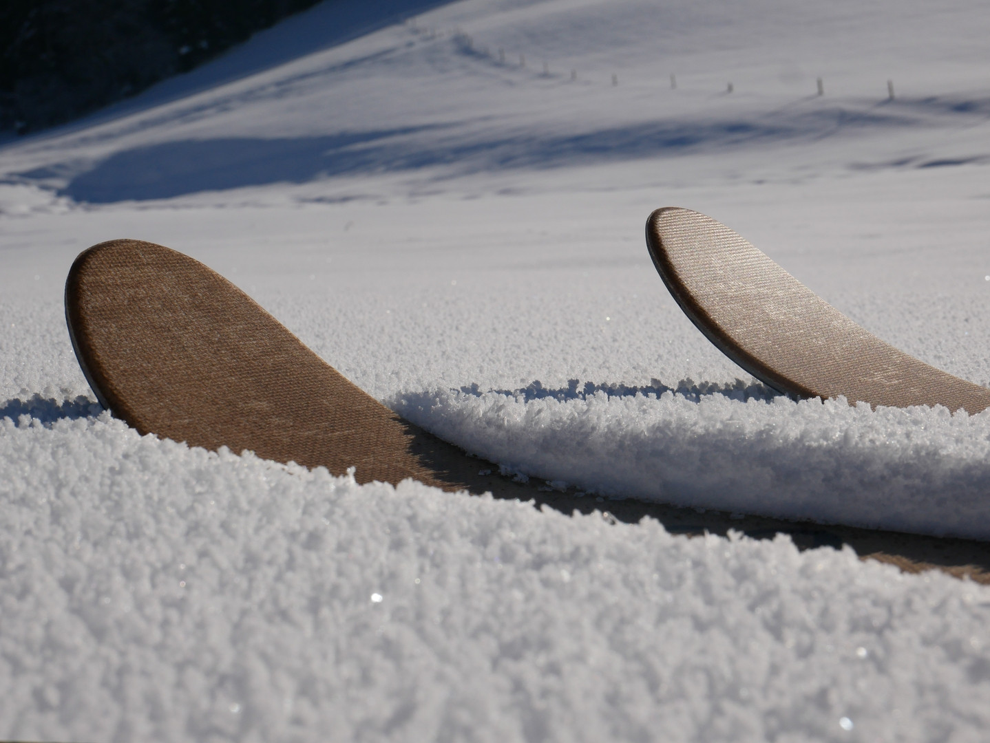 Skis Altai Hok + Fixations OAC EA 2.0