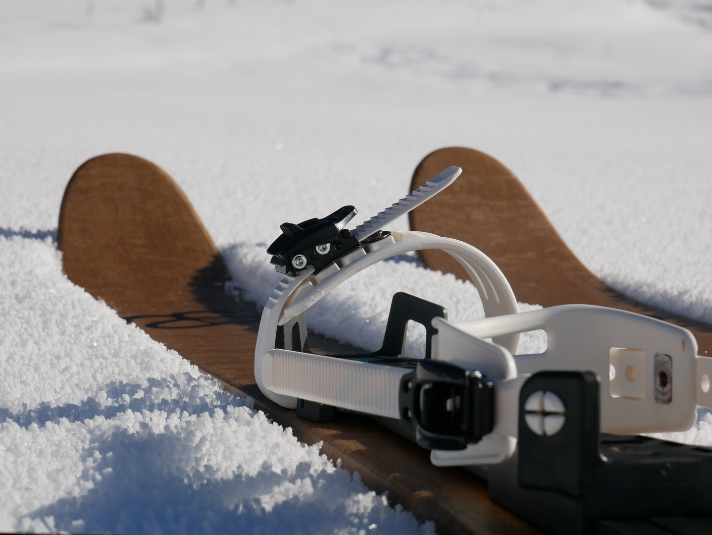 Skis Altai Hok + Fixations OAC EA 2.0