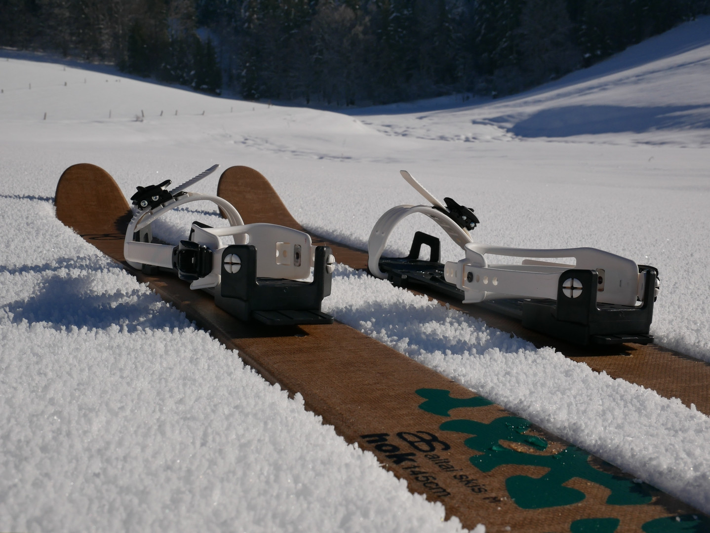 Skis Altai Hok + Fixations OAC EA 2.0