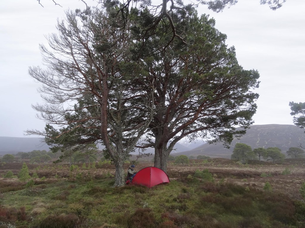 Hilleberg Niak