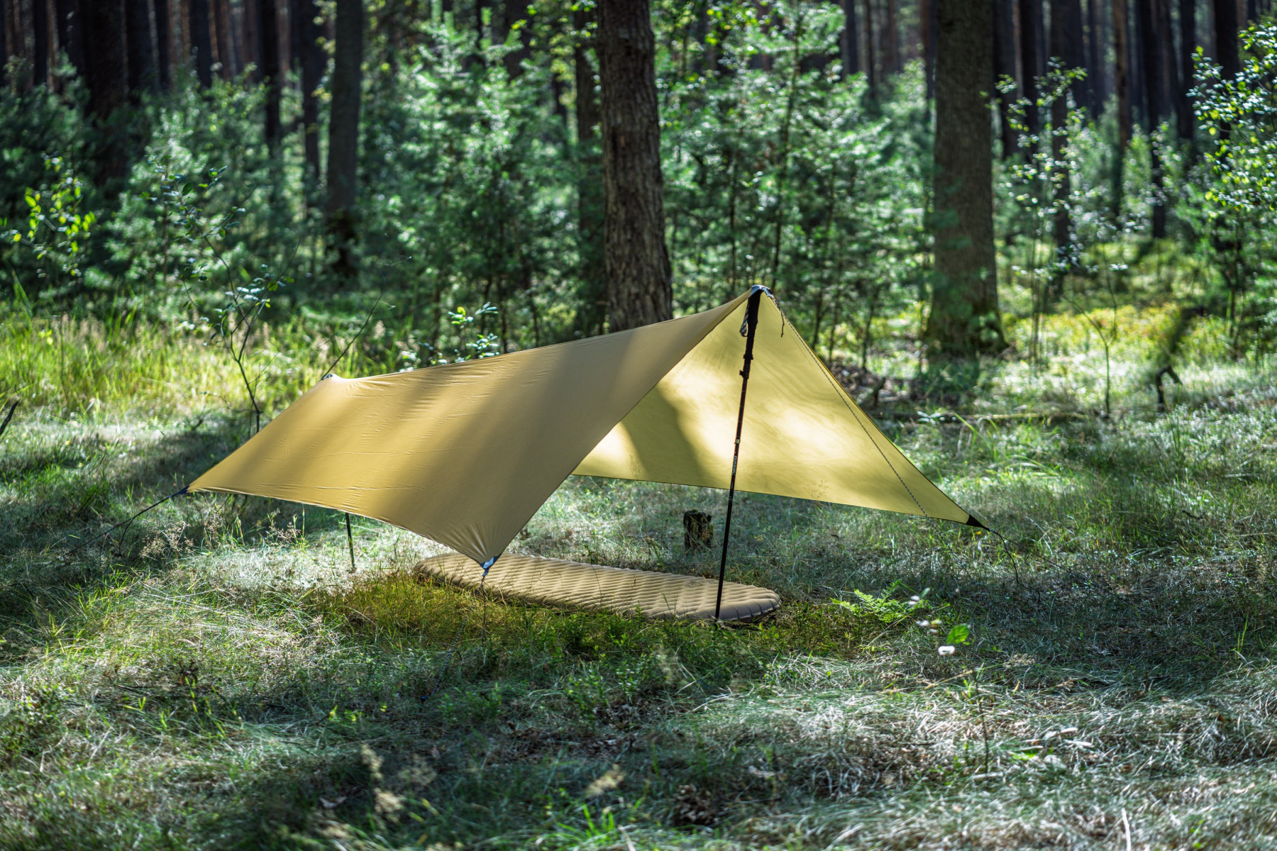 Tarp Lesovik Zmora