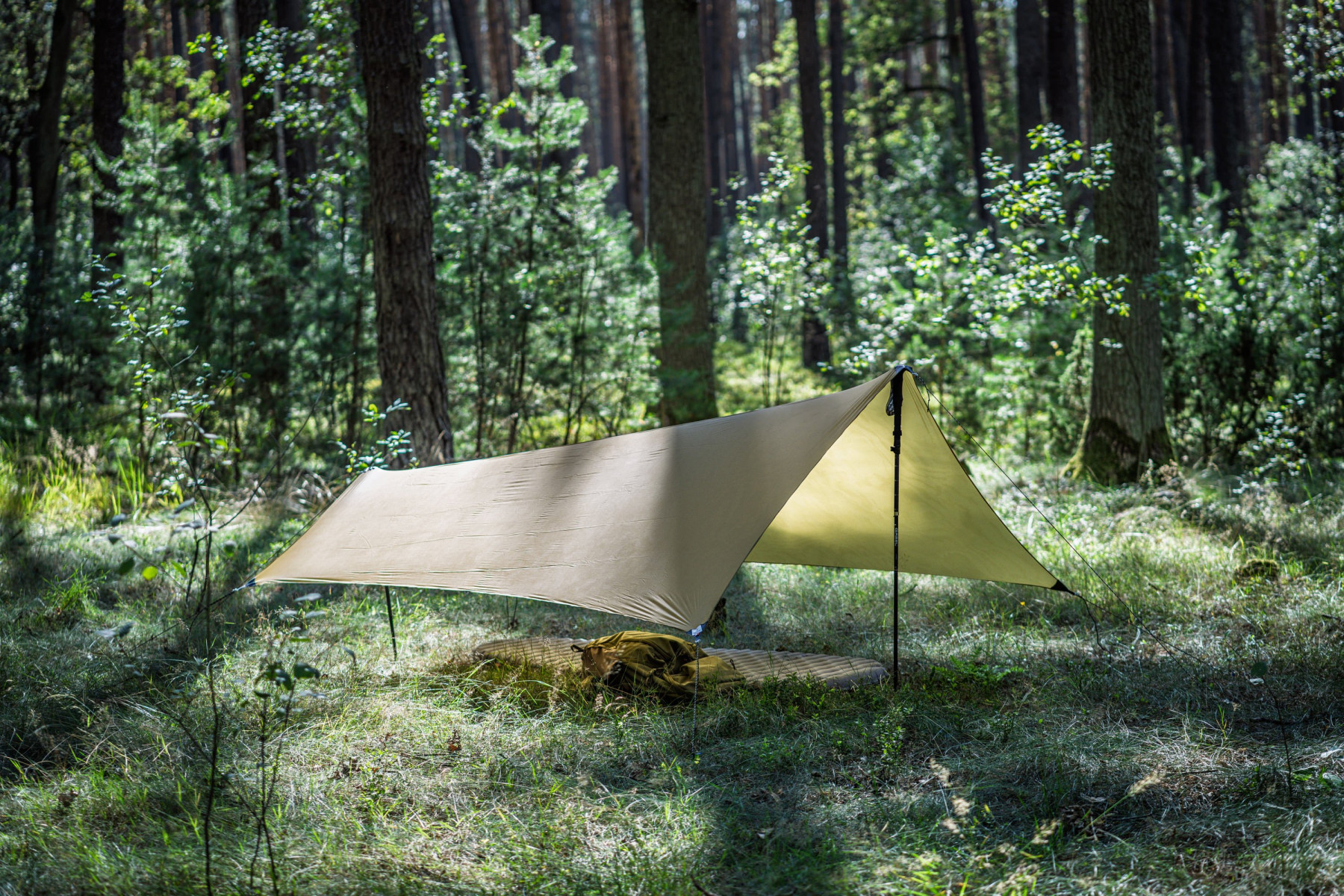 Tarp Lesovik Zmora