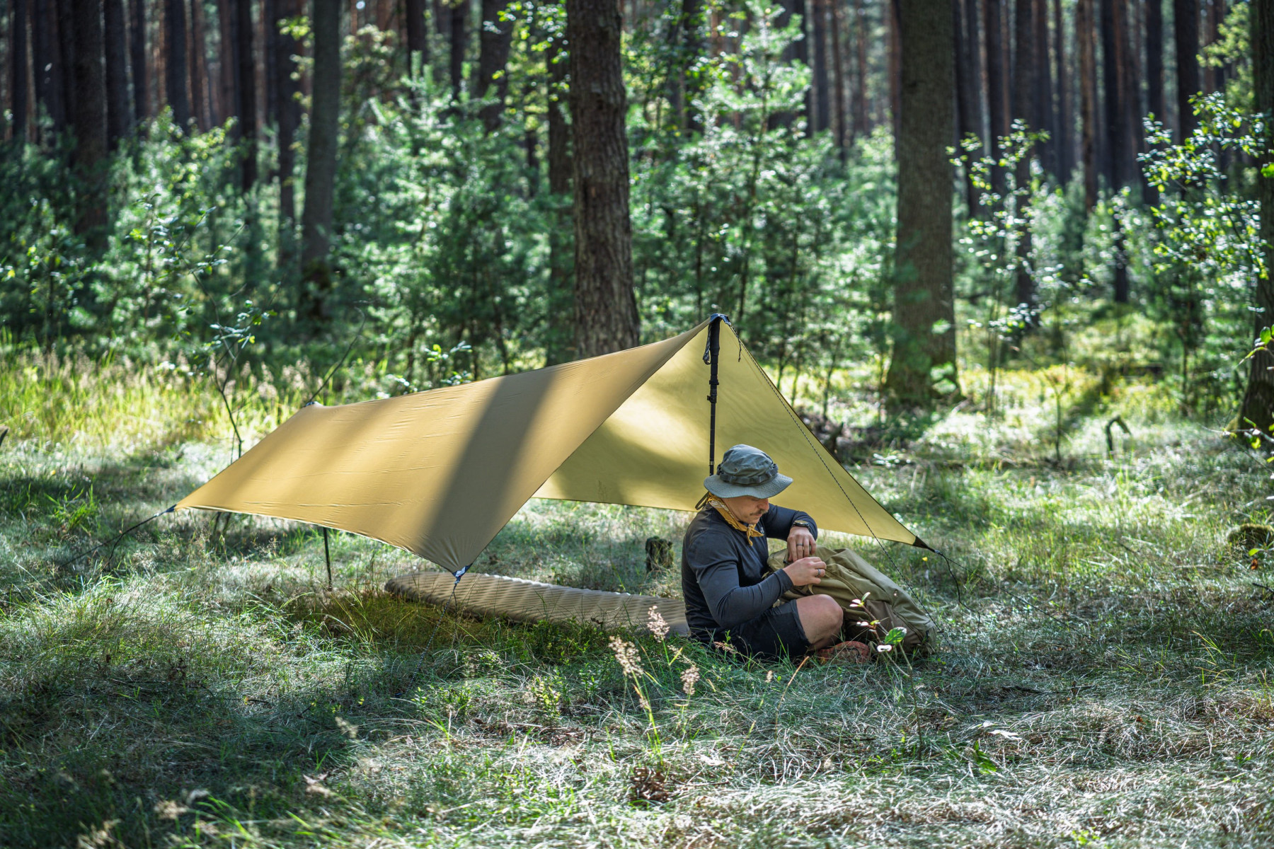 Tarp Lesovik Zmora