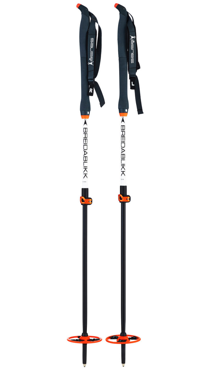 Bâtons Rando Nordique Åsnes Breidablikk BC 2-section Alloy Pole