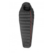 Patizon R600