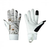 Lillsport Forest Winter