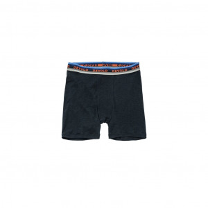 Devold Lauparen Merino 190 Boxer Man - Noir/ink