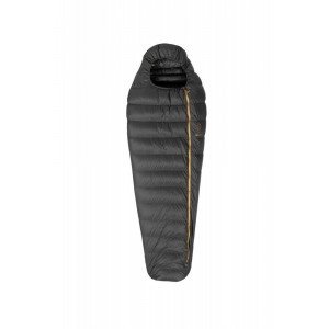 Patizon R300
