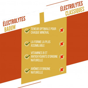 Baouw pastilles Electrolytes Mangue - Ananas
