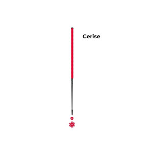 Les bâtons d’Alain Cerise