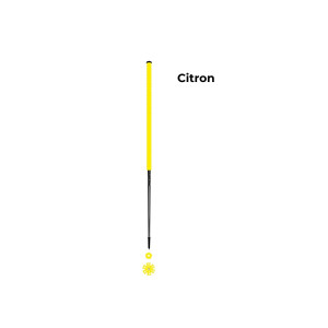 Les bâtons d’Alain Citron