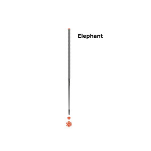 Les bâtons d’Alain Elephant