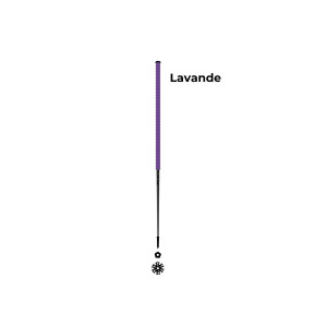 Les bâtons d’Alain Lavande