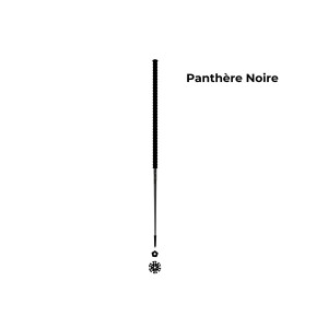 Les bâtons d’Alain Panthère Noire