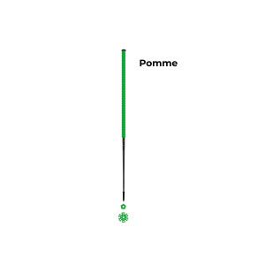 Les bâtons d’Alain Pomme