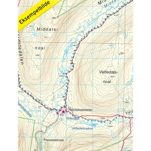 Carte de randonnée au 1:50 000 Breheimen Nasjonalpark