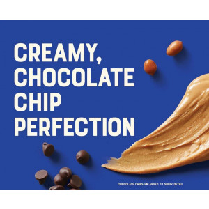 Clif Nut Butter Bar Bio Chocolate Chip & Peanut Butter