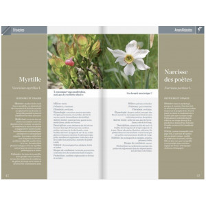 Livre Guide de la flore du Parc du Vercors - Glénat