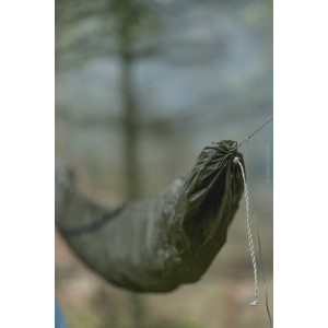 Lesovik Larva