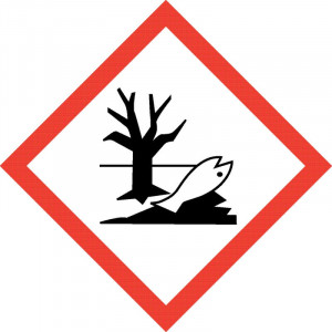 SGH09 - Environnement : Dangereux pour l'environnement