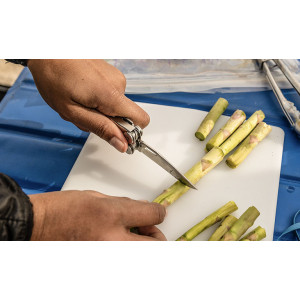 Outil Leatherman Curl
