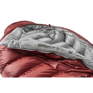 Patizon D590