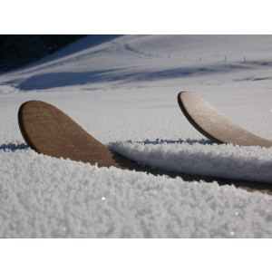 Skis Altai Hok + Fixations OAC EA 2.0