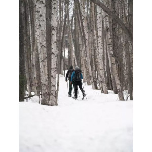 Skis Madshus Panorama M68