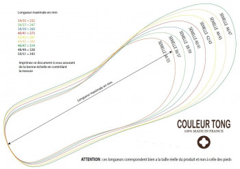Dimensions Couleur Tong 